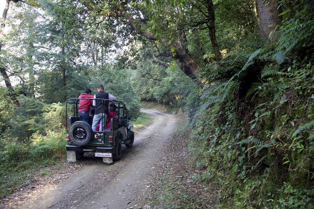 Trekking in Kanatal