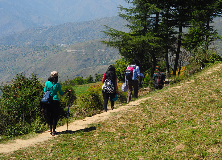 Trekking in Kanatal